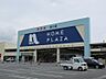 周辺：ホームセンター「ホームプラザナフコ掛川店まで1564m」