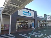 ドラッグストア 「ウエルシア富士青島店まで701m」