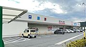 ドラッグストア 「ウエルシア富士松野店まで971m」