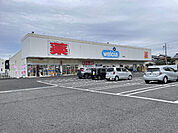 ドラッグストア 「ウエルシア焼津塩津店まで577m」