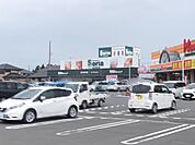 その他「セリアまで1100m」