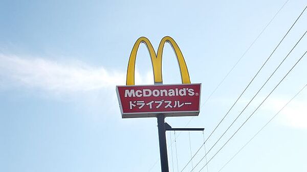 画像21:飲食店「マクドナルドまで480m」