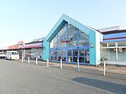 ショッピング施設「パディまで4000m」