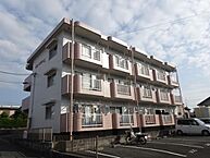 静岡県磐田市城之崎1丁目：物件画像／株式会社ミニミニ静岡　磐田店