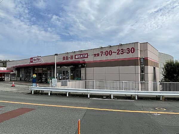 画像19:スーパー「マックスバリュ三島壱町田店まで1039m」