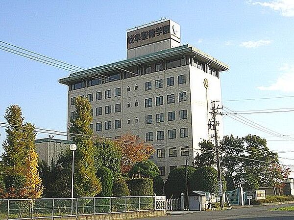 画像7:大学「岐阜聖徳学園大学羽島キャンパスまで800m」