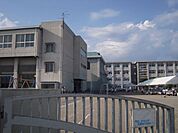 小学校「岐阜市立島小学校まで1054m」