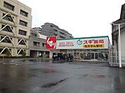 ドラッグストア 「スギ薬局岐阜都通店まで763m」