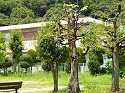 幼稚園、保育園「梅林保育園まで460m」