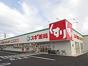 ドラッグストア 「スギ薬局鏡島東店まで740m」