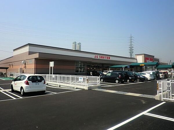 画像28:ショッピング施設「バロー　中ノ江店まで1200m」