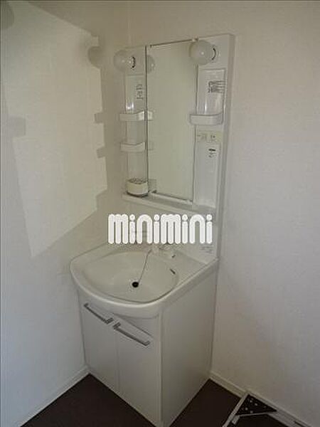 画像11:独立洗面台はシャワー付きです。