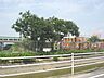 周辺：幼稚園、保育園「石山保育園まで1100m」