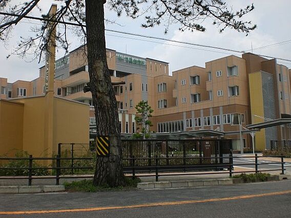 オンテール_周辺_4