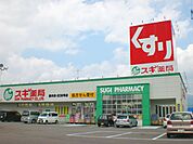 ドラッグストア 「スギ薬局まで540m」