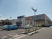 その他「三洋堂まで1300m」