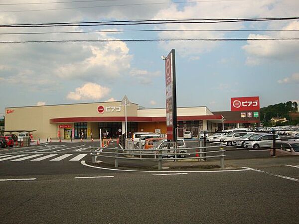 画像23:ショッピング施設「ドン・キホーテまで750m」