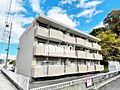 アムール　アドニス