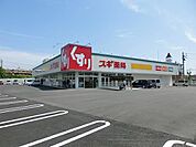 ドラッグストア 「スギ薬局　穂積店まで600m」