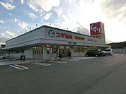 ドラッグストア 「スギ薬局川辺店まで684m」
