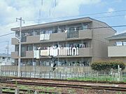 南向きで日当たり良好