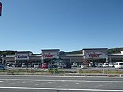 ショッピング施設「バローまで440m」