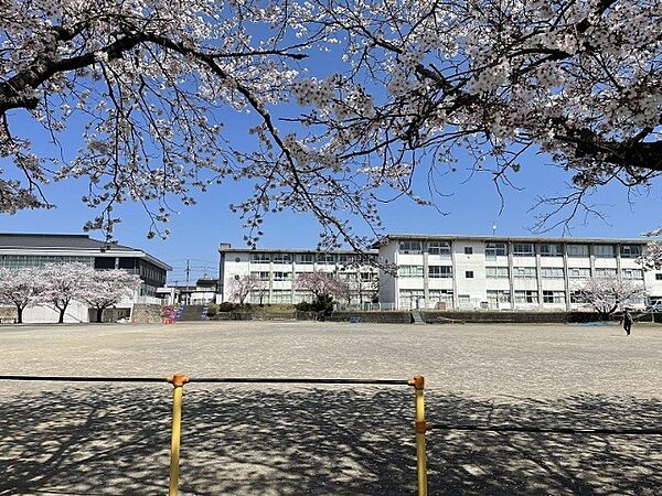 画像17:小学校「関市立倉知小学校まで1171m」