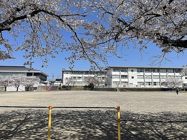 画像25:小学校「関市立倉知小学校まで1318m」