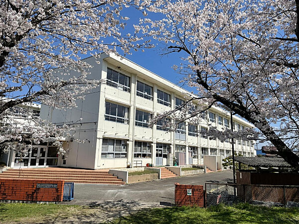 画像25:小学校「関市立桜ケ丘小学校まで190m」