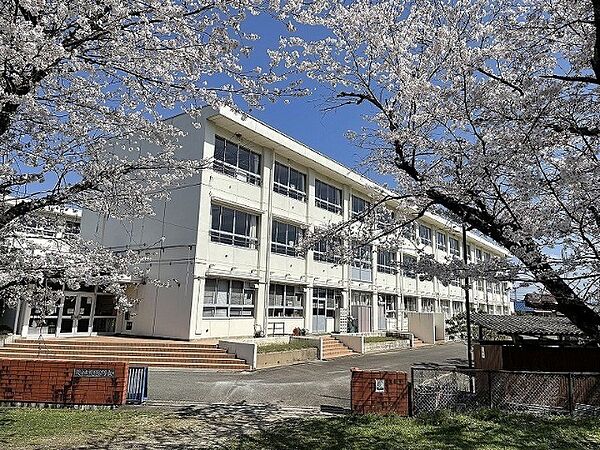 画像19:小学校「関市立桜ケ丘小学校まで1128m」