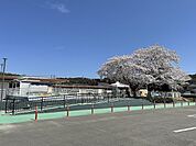 幼稚園、保育園「富岡保育園まで1646m」