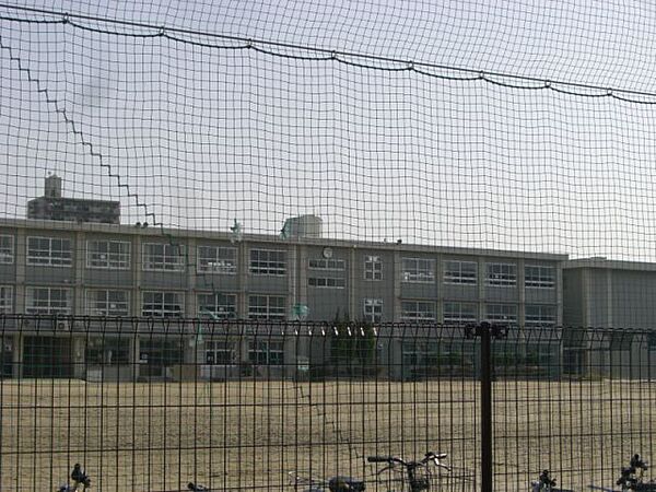 画像25:小学校「四日市市立常磐小学校まで484m」