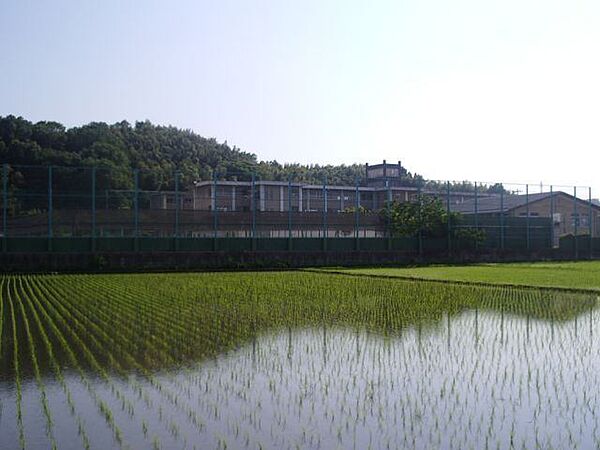 メゾンソーレ ｜三重県四日市市西富田町(賃貸アパート1LDK・1階・50.23㎡)の写真 その17