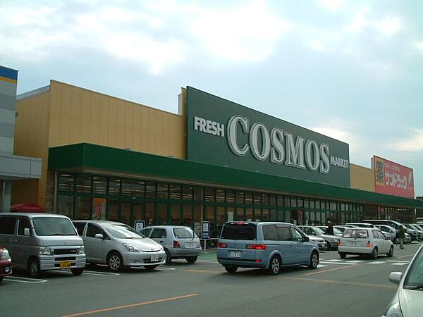 画像27:ショッピング施設「コスモスまで990m」