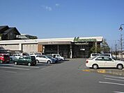 スーパー「ベイシックまで810m」