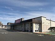 ドラッグストア 「ディスカウントドラッグコスモス藤方店まで810m」