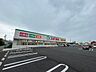 周辺：ドラッグストア 「スギ薬局津半田店まで1007m」