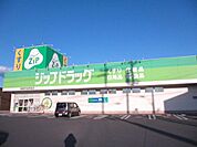 ドラッグストア 「ジップドラッグまで1300m」