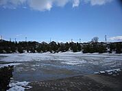 公園「星川公園まで1100m」