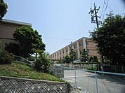 小学校「桑名市立大成小学校まで480m」