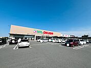 スーパー「スーパーセンターオークワサウス亀山店まで1017m」