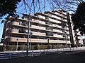 外壁タイル貼り
