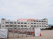 高槻市立富田小学校 234m