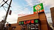 ライフ豊津店 497m