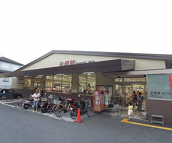 画像13:生鮮館なかむら 北山店まで210m