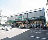 ダックス宝ヶ池店まで100m 10