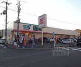 ドラッグひかり 西賀茂店まで1600m