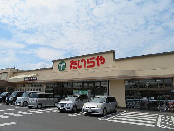 画像17:【スーパー】たいらや石井店まで1083ｍ