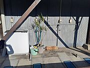洗濯機置き場