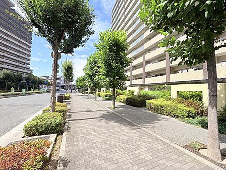 ●マンション周辺の歩道